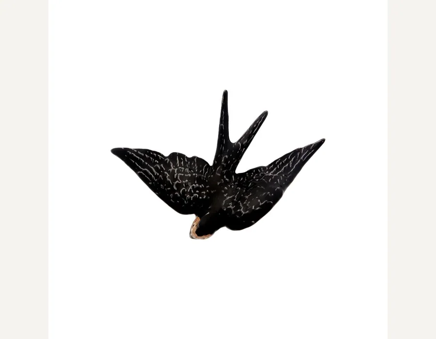 Swallow